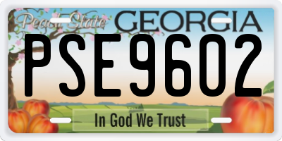 GA license plate PSE9602