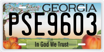 GA license plate PSE9603