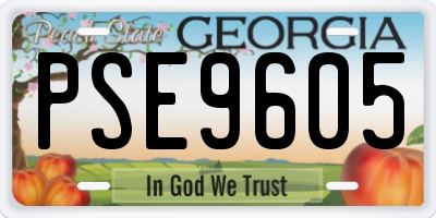 GA license plate PSE9605