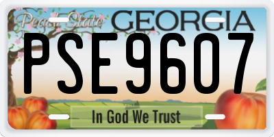 GA license plate PSE9607