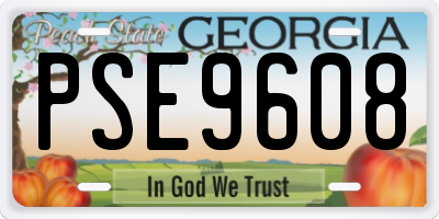 GA license plate PSE9608