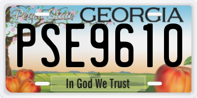 GA license plate PSE9610