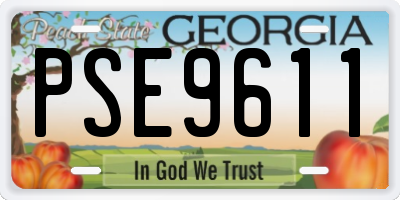 GA license plate PSE9611