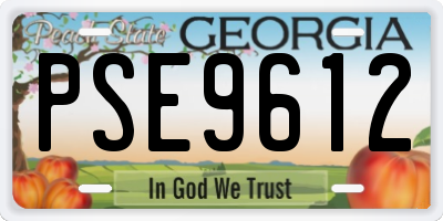 GA license plate PSE9612