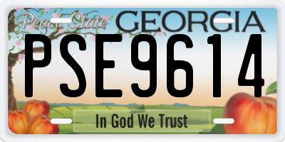 GA license plate PSE9614