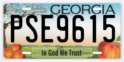 GA license plate PSE9615