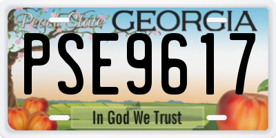 GA license plate PSE9617