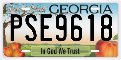GA license plate PSE9618