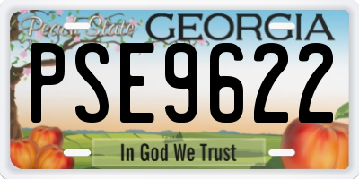 GA license plate PSE9622