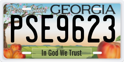 GA license plate PSE9623