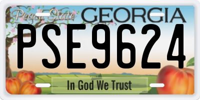 GA license plate PSE9624