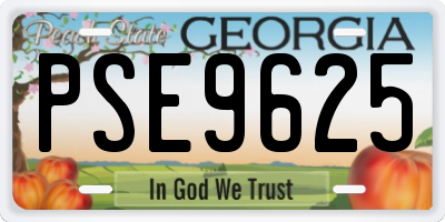 GA license plate PSE9625