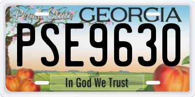 GA license plate PSE9630