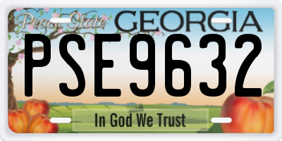 GA license plate PSE9632