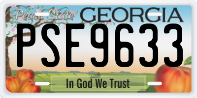GA license plate PSE9633