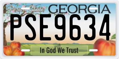 GA license plate PSE9634