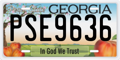 GA license plate PSE9636