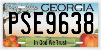 GA license plate PSE9638