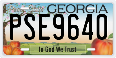 GA license plate PSE9640