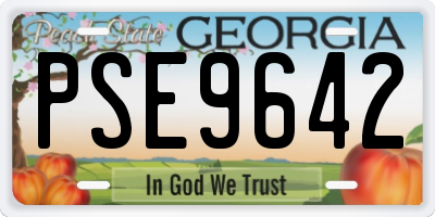 GA license plate PSE9642