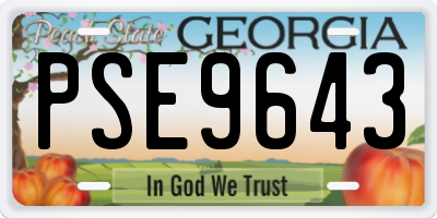 GA license plate PSE9643
