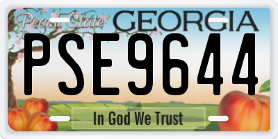 GA license plate PSE9644