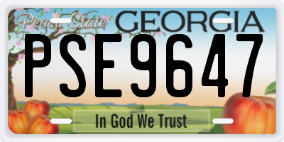 GA license plate PSE9647