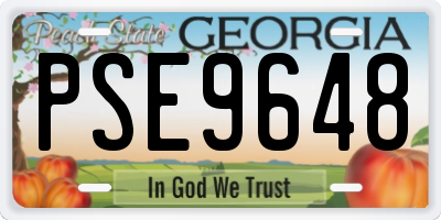 GA license plate PSE9648