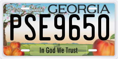 GA license plate PSE9650