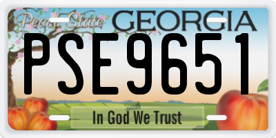 GA license plate PSE9651
