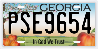 GA license plate PSE9654