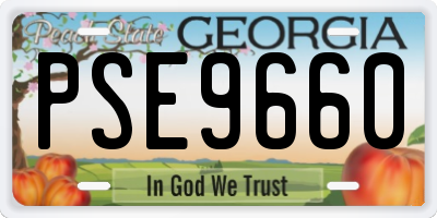 GA license plate PSE9660