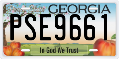 GA license plate PSE9661