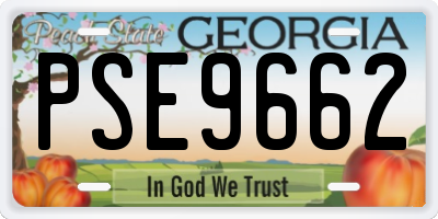 GA license plate PSE9662