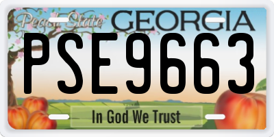 GA license plate PSE9663