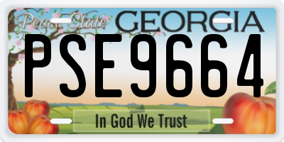 GA license plate PSE9664