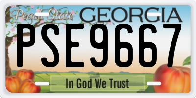 GA license plate PSE9667