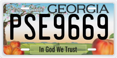GA license plate PSE9669