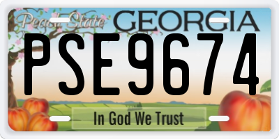 GA license plate PSE9674
