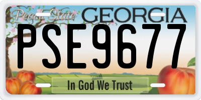 GA license plate PSE9677