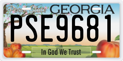 GA license plate PSE9681