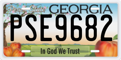 GA license plate PSE9682