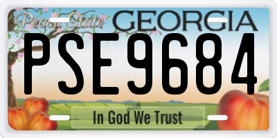 GA license plate PSE9684