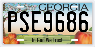 GA license plate PSE9686