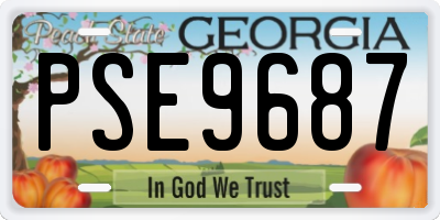 GA license plate PSE9687