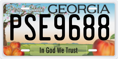 GA license plate PSE9688