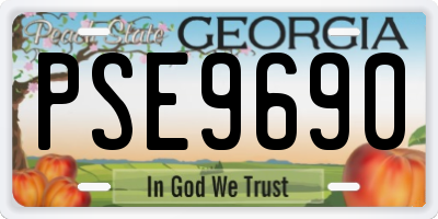 GA license plate PSE9690