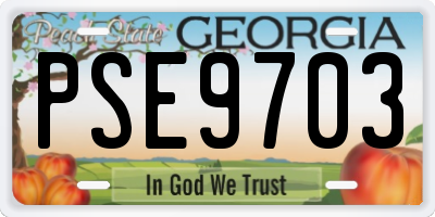 GA license plate PSE9703