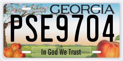 GA license plate PSE9704