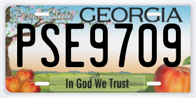 GA license plate PSE9709